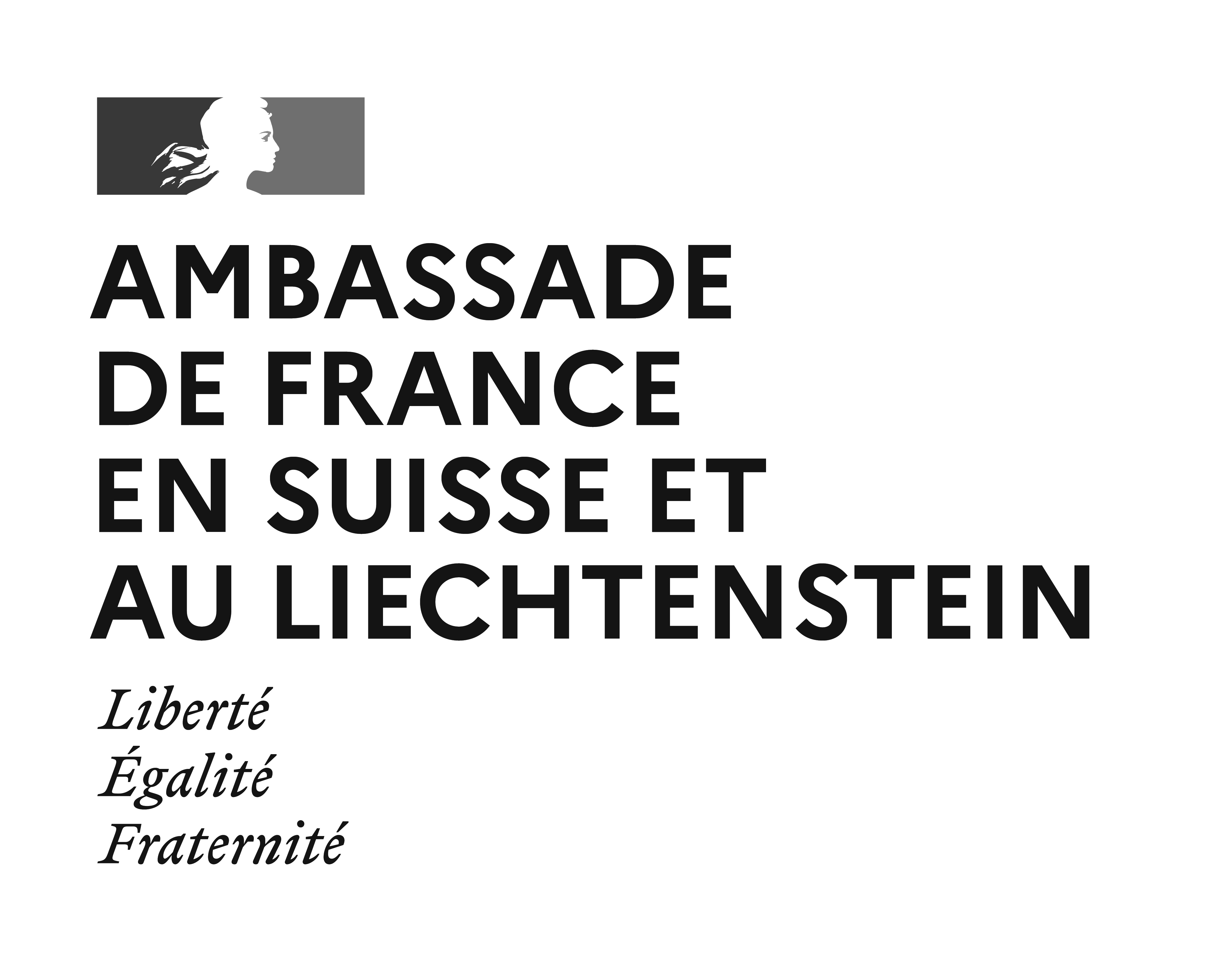 Logo Amb Suisse Liechtenstein bw